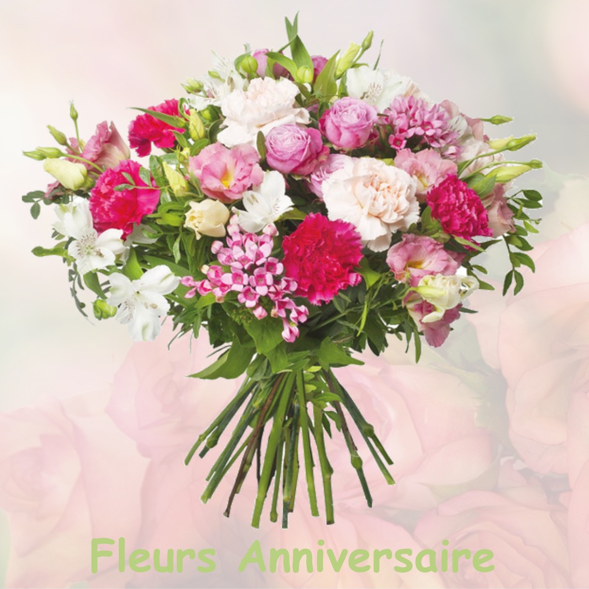 fleurs anniversaire GUIGNICOURT-SUR-VENCE